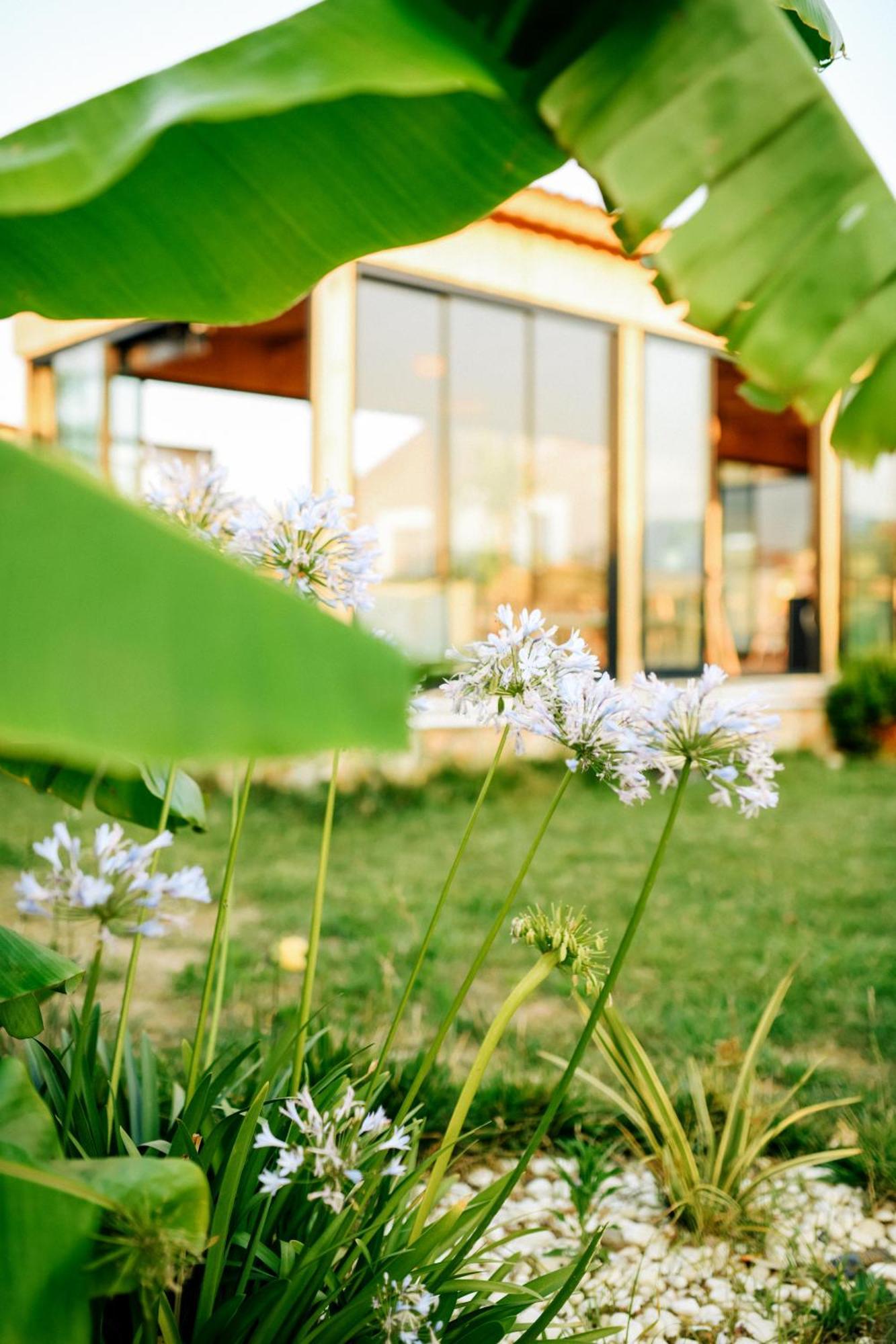 Mandalin Glamping Hotel Selçuk Exterior foto